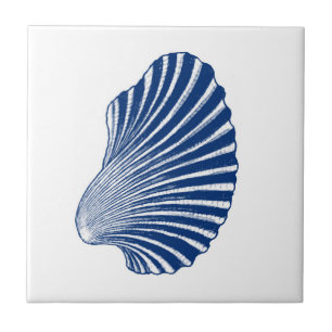 Impressão, Indigo e Branco da Shell Scallop