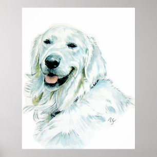 Impressão inglês do golden retriever