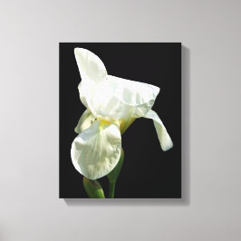 Impressão Iris Canvas