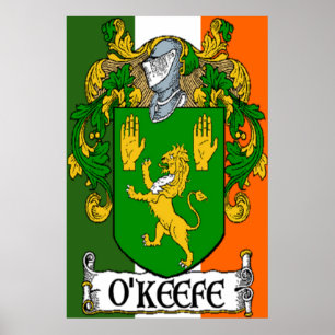 Impressão irlandês da bandeira da brasão de