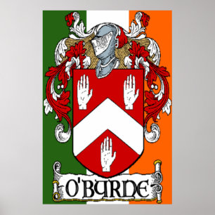 Impressão irlandês da bandeira da brasão de
