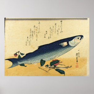 Impressão japonês colorido dos peixes de Bora -
