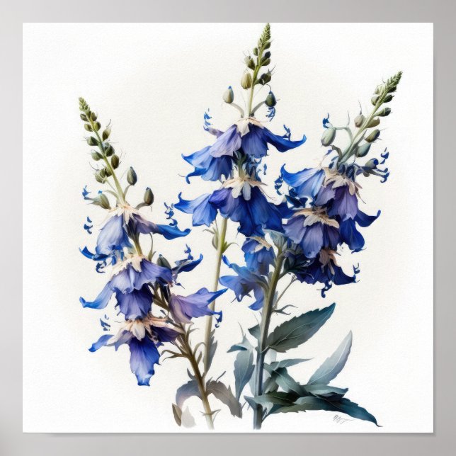 Impressão Larkspur Flower Art (Frente)