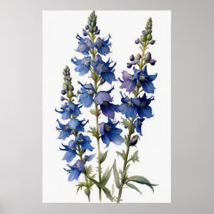 Impressão Larkspur Flower Art
