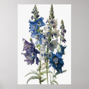 Impressão Larkspur Flower Art