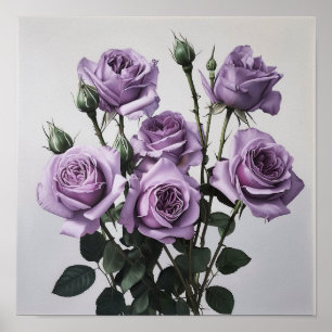 Impressão lavanda de Poster de pintura de Rosa