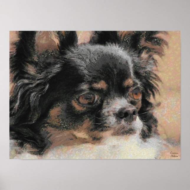 Impressão longo bonito do poster da chihuahua do (Frente)