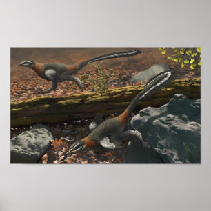 Impressão longo de Mei