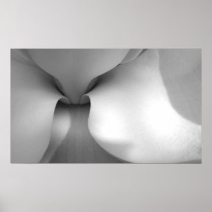 Impressão Magnolia Canvas