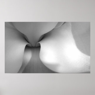 Impressão Magnolia Canvas