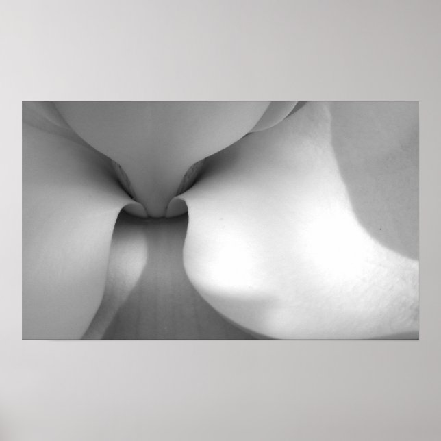 Impressão Magnolia Canvas (Frente)