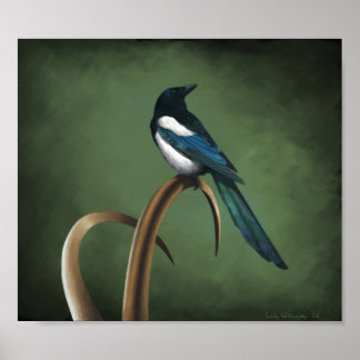 Impressão Magpie de baixa teclas