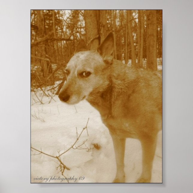 Impressão mau (Frente)