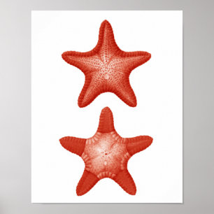 Impressão náutico vermelho da decoração da art
