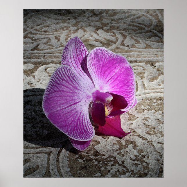 Impressão Orquídea de Placa Orquídea -20x24 -ou me (Frente)