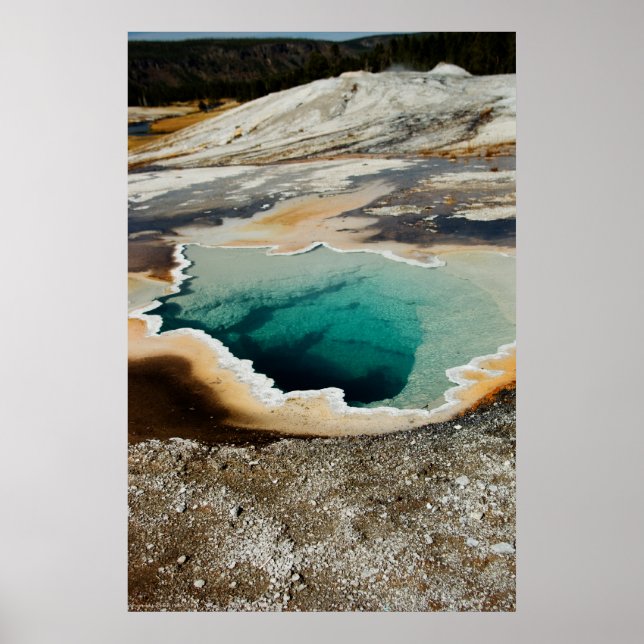 impressão #P4078 (Frente)