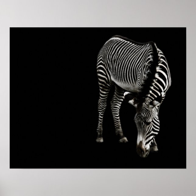 Impressão P4435 da Zebra (Frente)