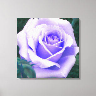 Impressão pálido das canvas do rosa do roxo