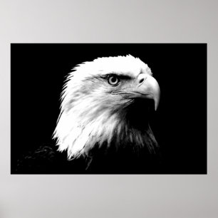 Impressão panorâmico do poster de Eagle do