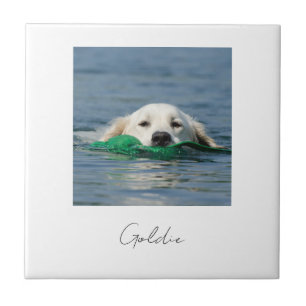 Impressão personalizada foto de cachorro em cerâmi