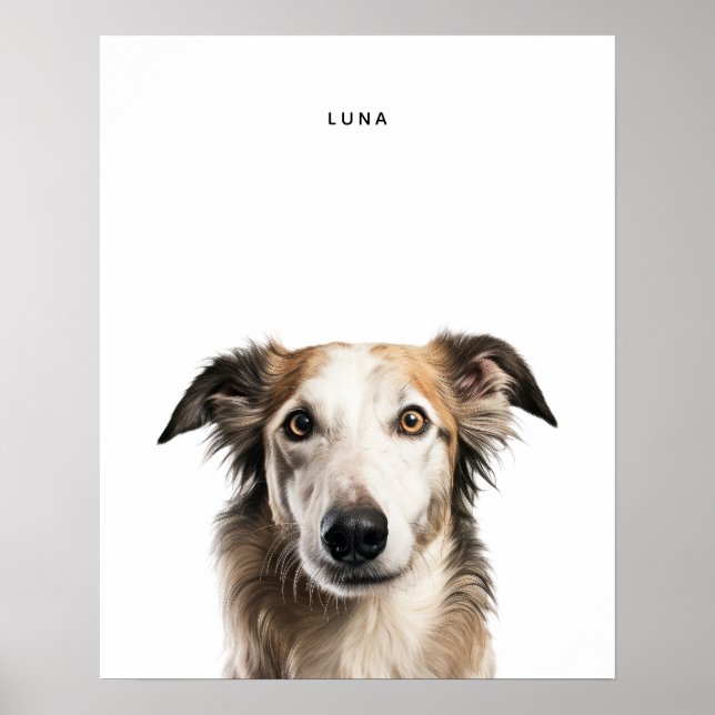 Impressão personalizado Borzoi (Frente)