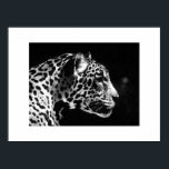 Impressão Pop de Arte Jaguar - Posters Jaguar<br><div class="desc">Posters de Retrato Jaguar Preto e Branco - Imagem Jaguar de Arte Pop - Grandes Impressões de Gatos Selvagens - O Chefe do Jaguar - Face de Jaguar</div>