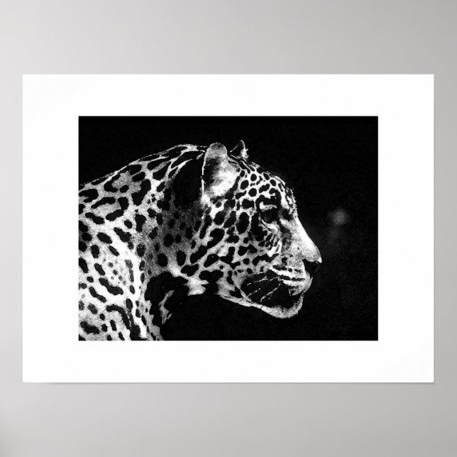 Impressão Pop de Arte Jaguar - Posters Jaguar (Frente)