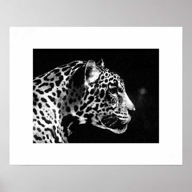 Impressão Pop de Arte Jaguar - Posters Jaguar (Frente)