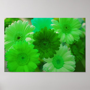 Impressão Poster