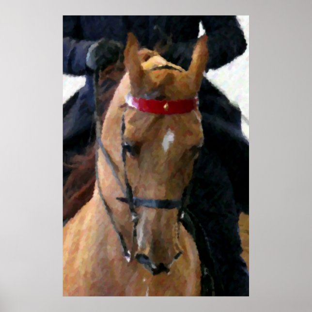 Impressão Poster de Cavalo de Saddlecriado America (Frente)