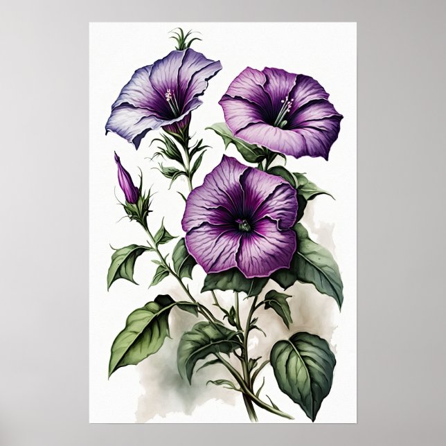 Impressão Poster de Suplente de Petunias Roxo (Frente)