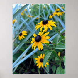 Impressão, Poster de valor (Matte)