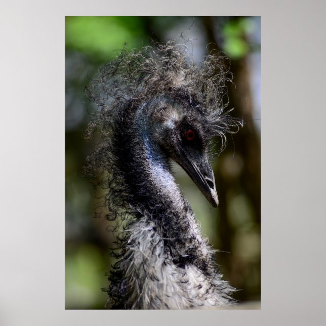 Impressão, Poster de valor (Matte) (Frente)