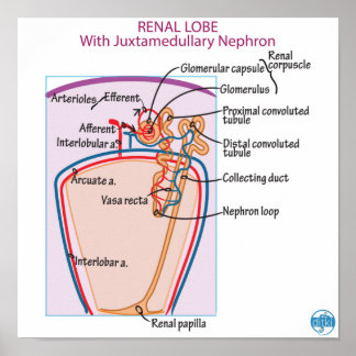 Impressão, Poster de valor (Matte)