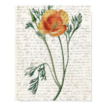 Impressão, Poster de valor (Matte)