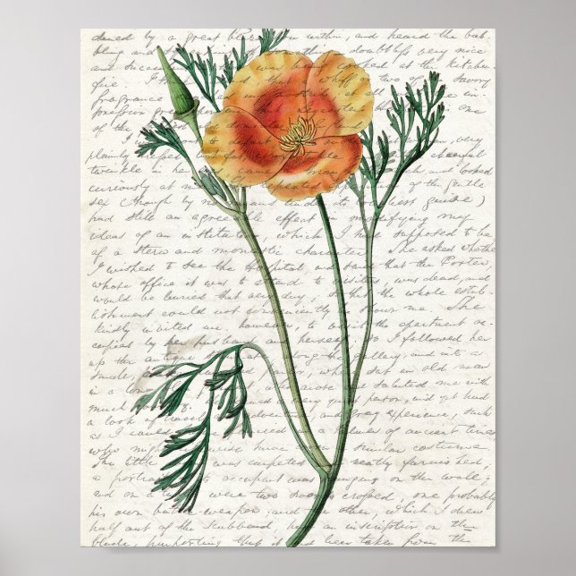 Impressão, Poster de valor (Matte) (Frente)