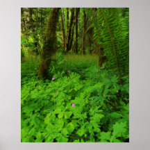 Impressão, Poster de valor (Matte)