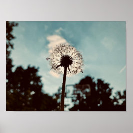 Impressão, Poster de valor (Matte)