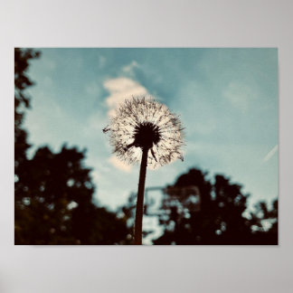 Impressão, Poster de valor (Matte)