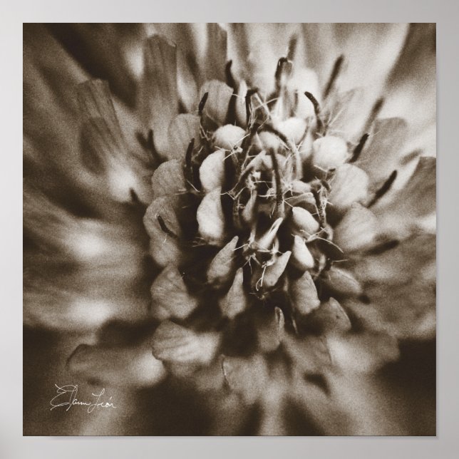 Impressão, Poster de valor (Matte) (Frente)