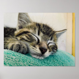 Impressão, Poster de valor (Matte)