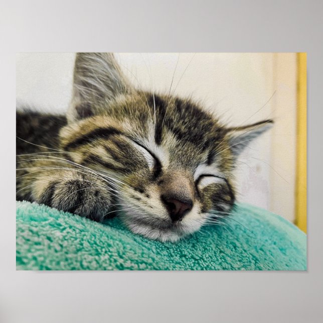 Impressão, Poster de valor (Matte) (Frente)