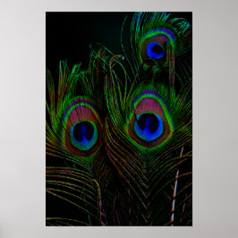 Impressão, Poster de valor (Matte)