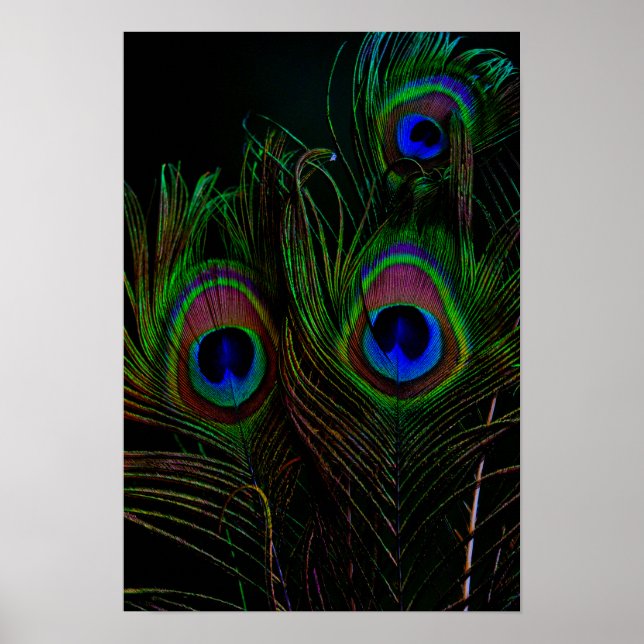 Impressão, Poster de valor (Matte) (Frente)