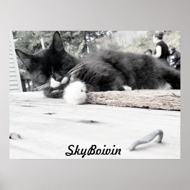 Impressão, Poster de valor (Matte) (Frente)