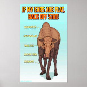 Impressão Poster do Gráfico de Segurança do Alce