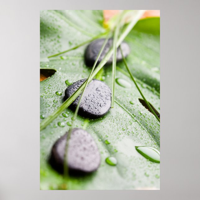 Impressão poster/tela de bem-estar (Frente)