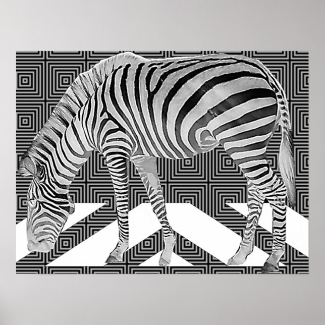 Impressão Poster Zebra (Frente)