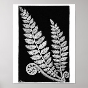 Impressão preto & branco da arte do poster vintag