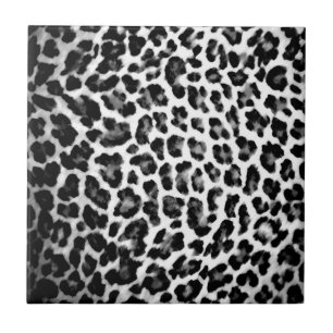 Impressão preto & branco do leopardo